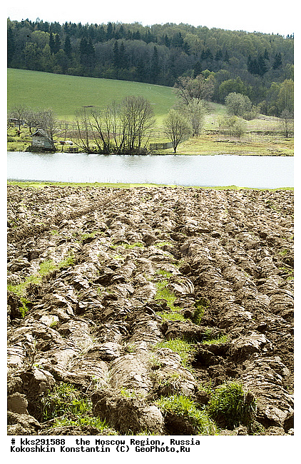 ���������� �������, ��������, ����, ������, ������� ��������, �������