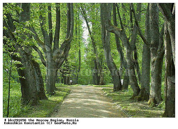 ���������� �������, ����, ����������, ������, ������� ����������, �����������, �������