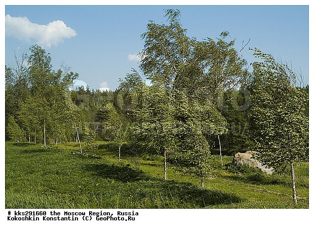 ���������� �������, ����, ����������, ������, ������� ����������, �����������, �������