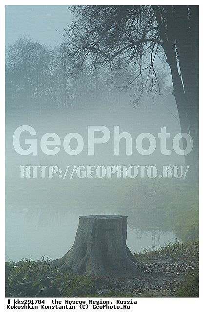 ���������� �������, ������, �����������, ������� �����������, ����, ���������, �������