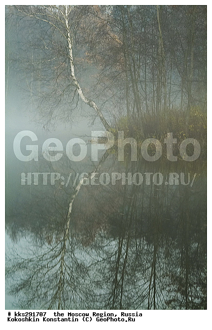 ���������� �������, ������, �����������, ������� �����������, ����, ���������, �������