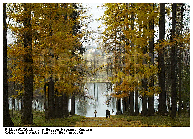 ���������� �������, ������, �����������, ���������, ������� �����������, �������