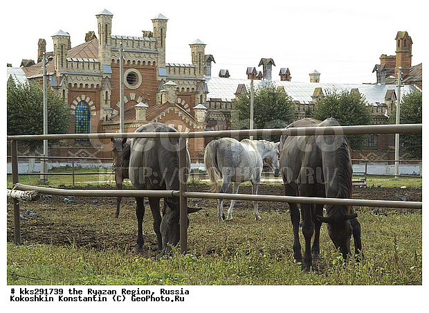 19 �, XIX, XIX �, �������, �����, ������, ��������� �������, �����������, ������� �����������, �������, ����������, �����, ������, �������� �����������, ��������, ���������, �������, ��������� �����������