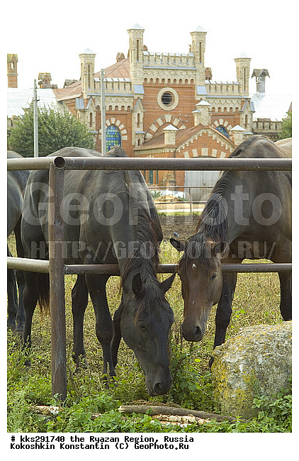 �������, �����, ������, ��������� �������, �����������, ������� �����������, �������, ����������, �����, ������, �������