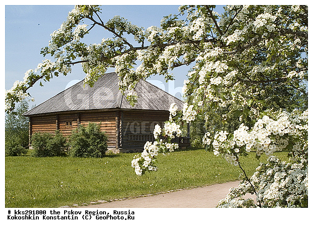 �����, �������-�����, ��������� �������, ������, ����������, �������, ������� ����������, ������� ��������-�����