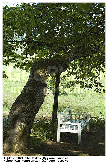 �������, �������-�����, ��������� �������, ������, ������, ����������, �������, ������� ����������, ������� ��������-�����