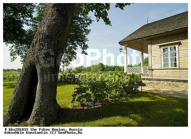 �������-�����, �������-�����, ��������� �������, ������, ����������, ���������, �������, ������� ����������, ���, ������� ��������-�����