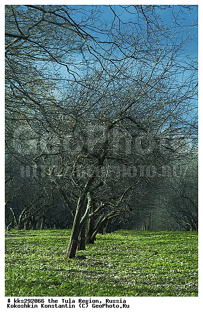 ������, �������, �������� �������, ������� ��������, ����� ������, ����, �������