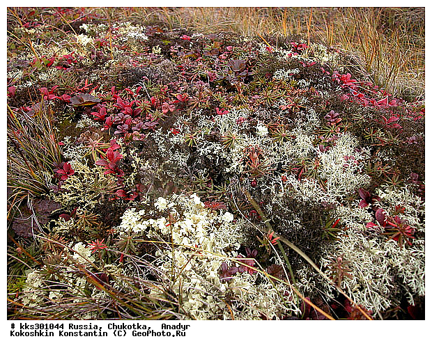 :, �������, ������, �������, ���� �������, ������� ������, �����