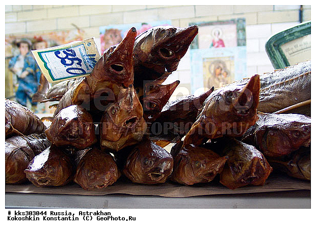 ���������, ������, ���� �������, ������� ������