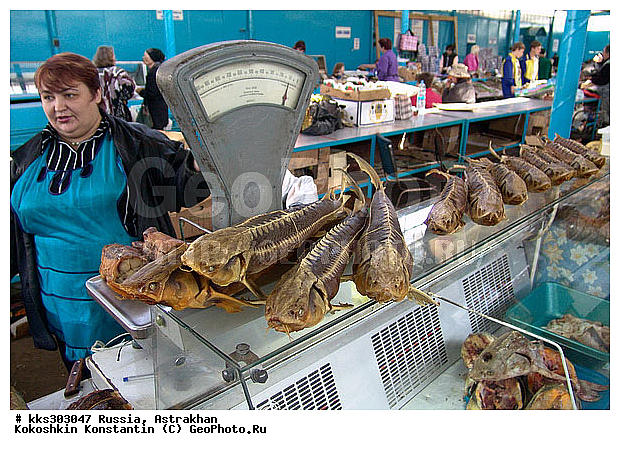 ���������, ������, ���� �������, ������� ������