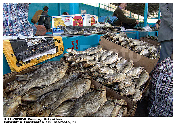 ���������, ������, ���� �������, ������� ������