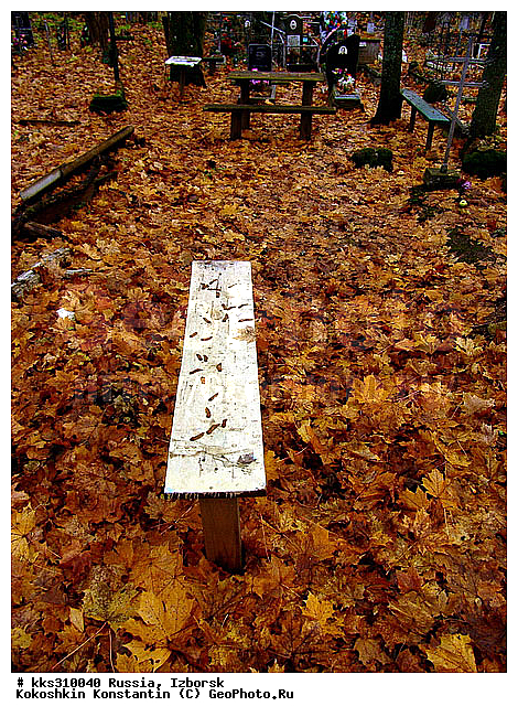 �������, ��������� �������, ������, ��������� ��������, ���� �������, ������� ������