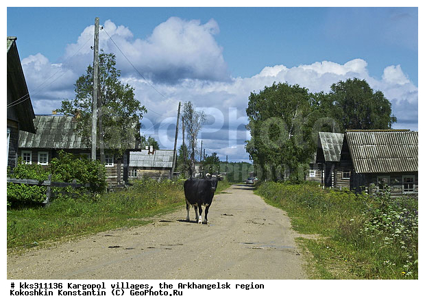 ������������� �������, ������������� �������, �������