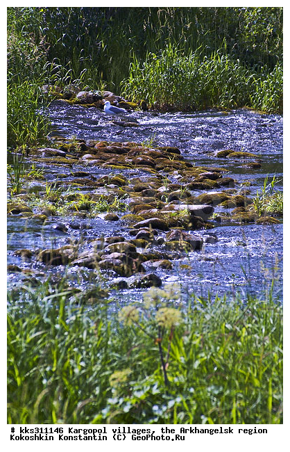 ������������� �������, ������������� �������, �������