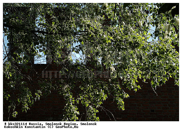 ������, ��������, ���� ������, ���� �������, ������� ������