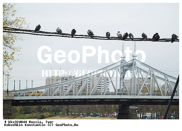 ������, �����, ���� �������, ������, ������� ������