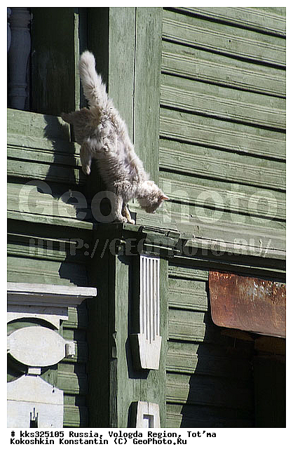 ����������� ���, ������, ������, ���� �������, ������� ������, �������� ���