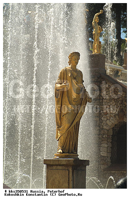 ���������, ���������, ��������, �����, ���������, �����-���������, ����� ���������, ������� ���������, ������, ��������� ����� ����������, �������� �������, ������, �������