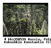 ���������, ���������, ��������, �����, ���������, �����-���������, ����� ���������, ������� ���������, ������, ��������� ����� ����������, �������� �������, ������, �������