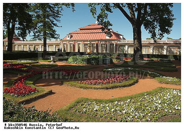 ���������, ���������, ��������, �����, ���������, �����-���������, ����� ���������, ������� ���������, ������, ��������� ����� ����������, �������� �������, ������, �������