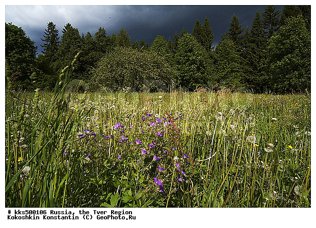 19 �, XIX, ������, �������� �������, ������� �������, ���, ������� �������