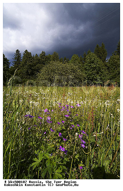 19 �, XIX, ������, �������� �������, ������� �������, ���, ������� �������