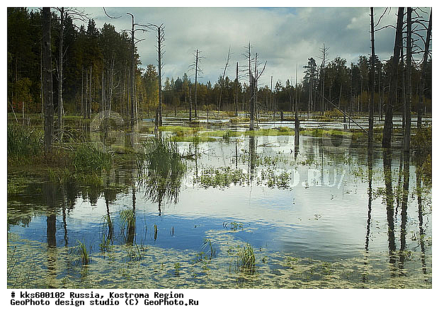 ������, ������ � ������������ ������, ����������� �������, ����, ����