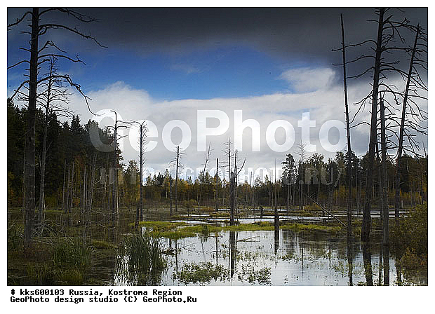 ������, ������ � ������������ ������, ����������� �������, ����, ����