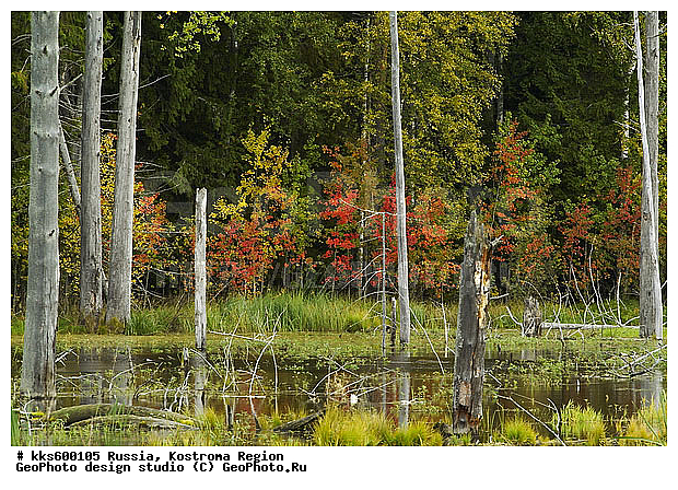 ������, ������ � ������������ ������, ����������� �������, ����, ����