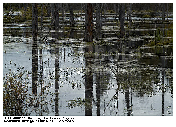 ������, ������ � ������������ ������, ����������� �������, ����, ����