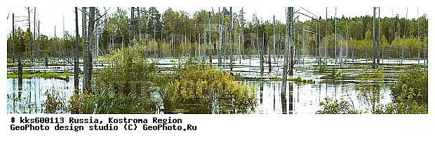 ������, ������ � ������������ ������, ����������� �������, ����, ����