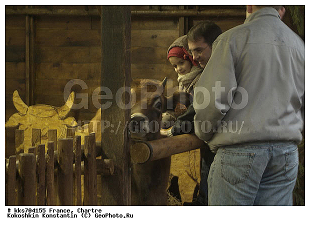 ������, �����, ���������, �������, ���������� ����� ������� ������, �������, �����, ������� �����, ������������ �������