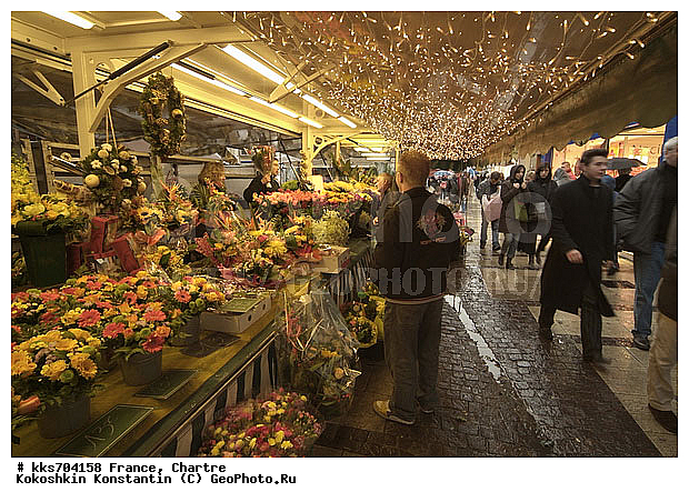 ������, �����, ���������, �������, ���������� ����� ������� ������, �������, �����, ������� �����, ������������ �������