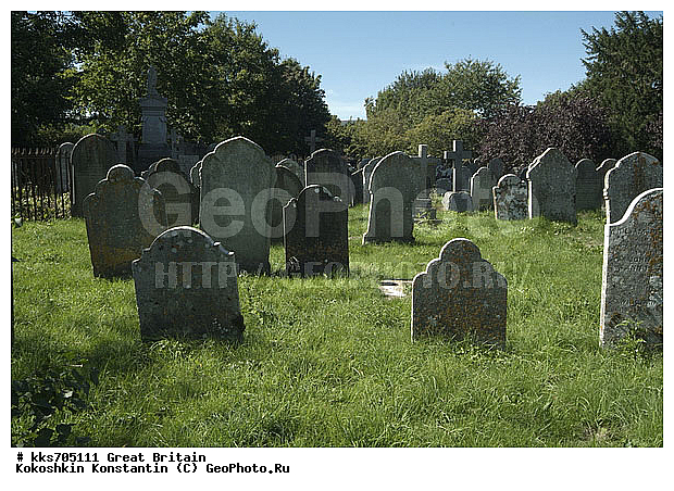 ������, ��������, ��������������, �������������� ��������, ������ ����