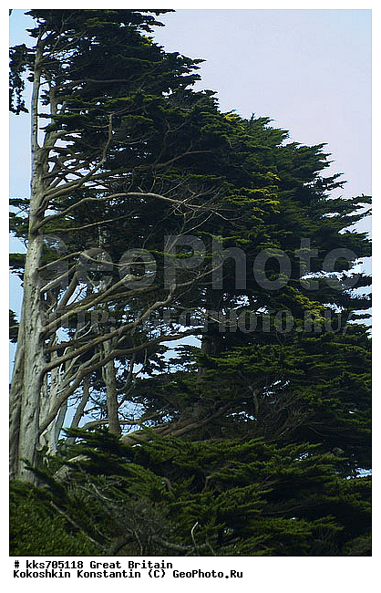 ������, ��������, ��������������, �������������� ��������, ������ ����