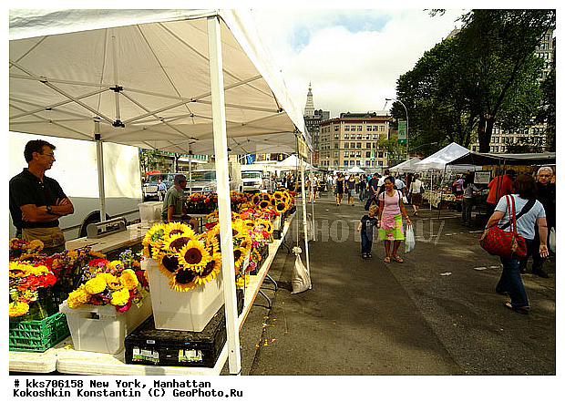 ���������, ���-����, ��� ����, ������, �����, �������, �����, ������� ������� ����� �� ����������