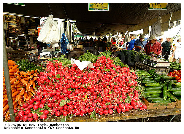 ���������, ���-����, ��� ����, ������, �����, �������, �����, ������� ������� ����� �� ����������