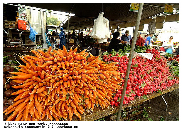 ���������, ���-����, ��� ����, ������, �����, �������, �����, ������� ������� ����� �� ����������