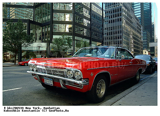 ���������, ���-����, ��� ����, ������ ���� �� ������ ����������, ����������, �����