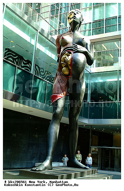 Lever House Art Collection, Virgin Mother, ���������, ���-����, ��� ����, ������, ����������, ������������, ��������� ������ ���������� �������, ���������, �������, ������ Virgin Mother
