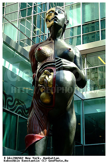 Lever House Art Collection, Virgin Mother, ���������, ���-����, ��� ����, ������, ����������, ������������, ��������� ������ ���������� �������, ���������, �������, ������ Virgin Mother