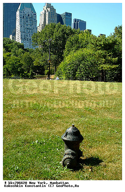 Central Park, ���������, ���-����, ��� ����, ������� ����, �������, �����