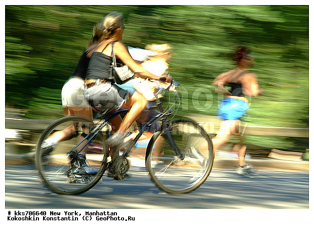 Central Park, ���������, ���-����, ��� ����, ������� ����, � ��������, �������������, ������������� � ��������