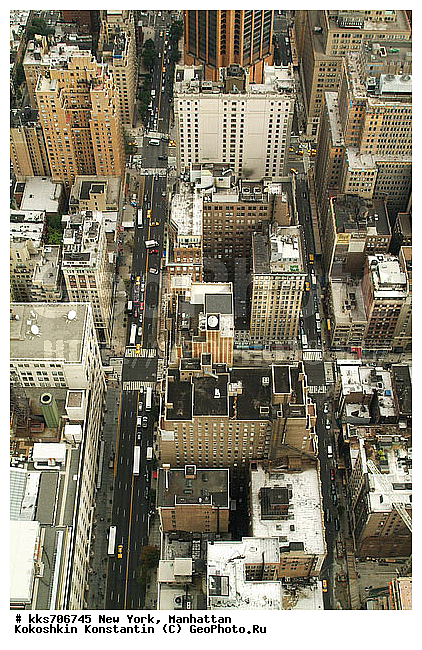 ���������, ����������, ���-����, ��� ����, �����������, ����������� ����������, ������, ���������, ������, ������ � �����