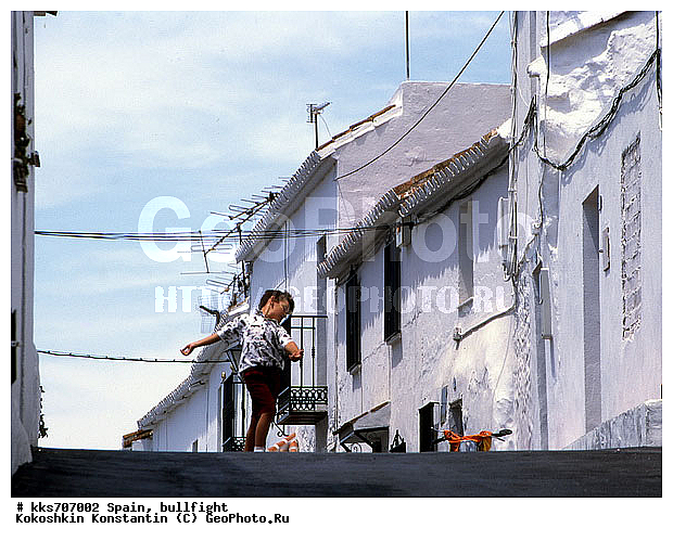 ������, �������, ���������, ����� �����, ���� ������, ��������� ������, �������, �������