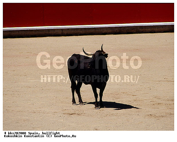 ������, �������, ���� ������, ��������� ������, �������, �������, ������� ���