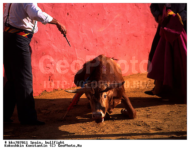 ������, �������, ���� ������, ��������� ������, �������, �������, ��������� ���������