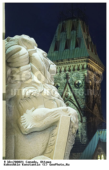 ������� �����, ������, ������, ���� ������, ��������� ������, ������ ���� ������, �������