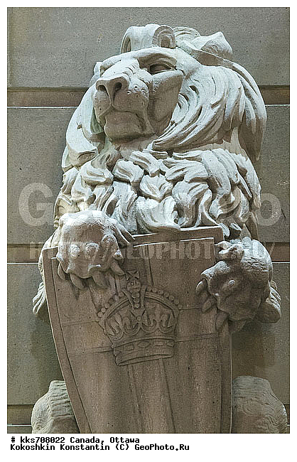 ������� �����, ������, ������, ���� ������, ��������� ���������, ��������� ������, �������